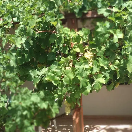 Agriturismo Deligios