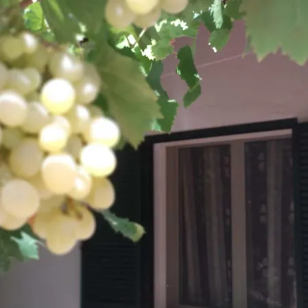 Appartamento Agriturismo Deligios