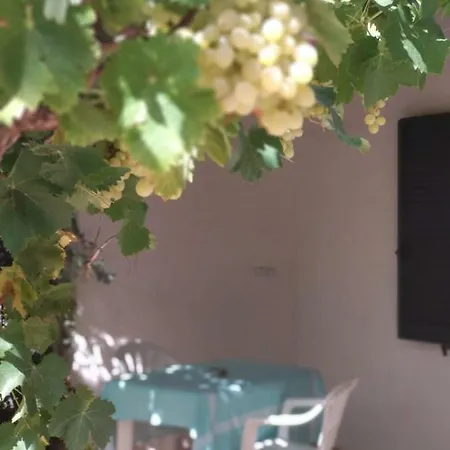 Appartamento Agriturismo Deligios